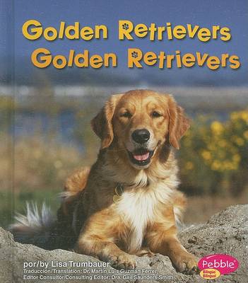 Book cover for Golden Retrievers/Golden Retrievers