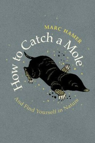 Cover of How to Catch a Mole