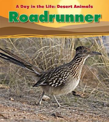 Book cover for Roadrunner