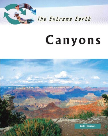 Book cover for Canyons