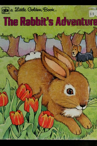 Cover of The Rabbit's Adventure