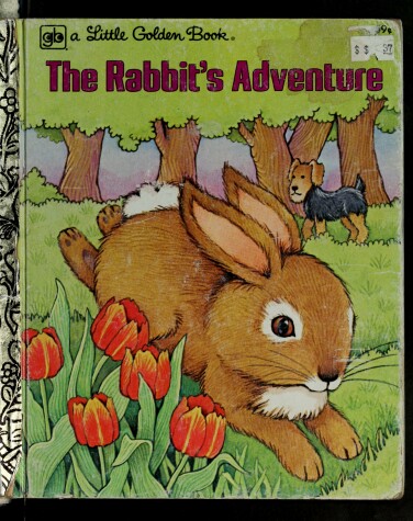 Book cover for The Rabbit's Adventure