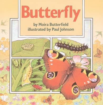 Book cover for Butterfly