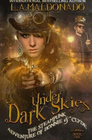 Cover of Under Dark Skies