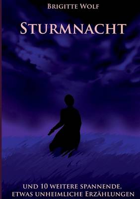 Book cover for Sturmnacht