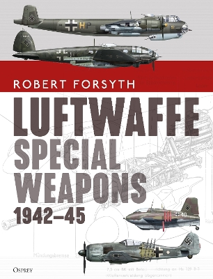 Book cover for Luftwaffe Special Weapons 1942-45