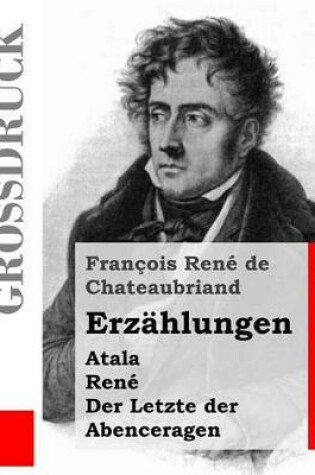 Cover of Erzahlungen (Grossdruck)