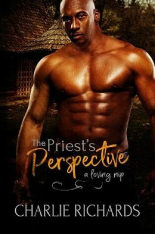Cover of The Priest's Perspective