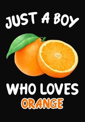 Book cover for Just a Boy Who Loves orange