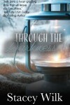 Book cover for Through the Darkness