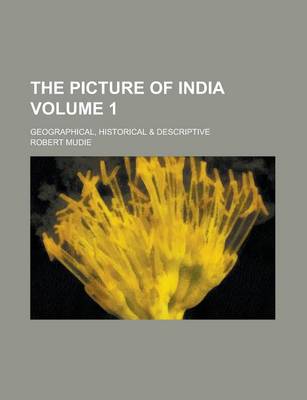 Book cover for The Picture of India; Geographical, Historical & Descriptive Volume 1