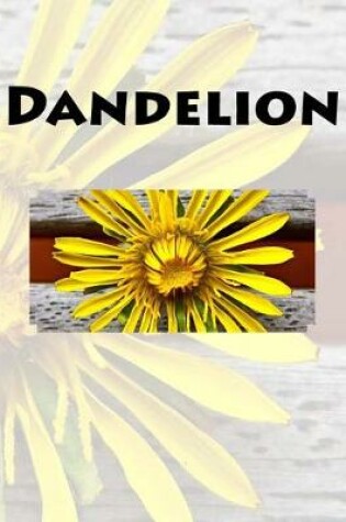 Cover of Dandelion