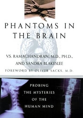 Book cover for Phantoms in the Brain
