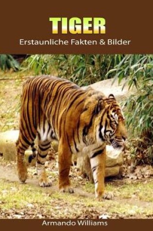 Cover of Tiger