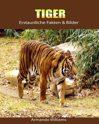 Book cover for Tiger