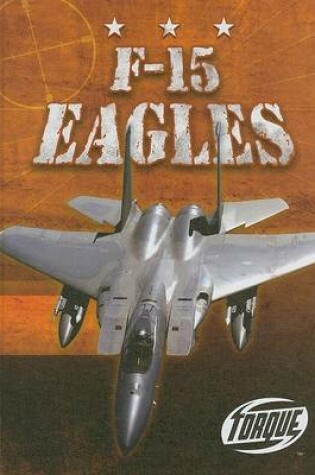 Cover of F-15 Eagles