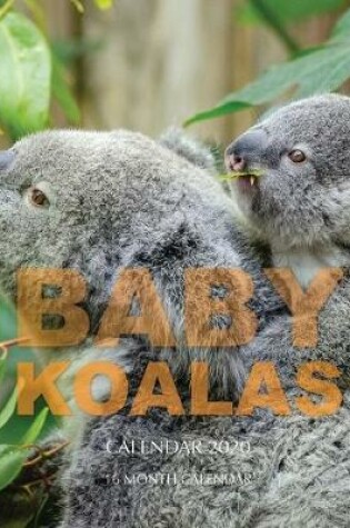 Cover of Baby Koalas Calendar 2020