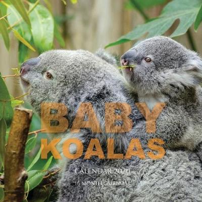 Book cover for Baby Koalas Calendar 2020