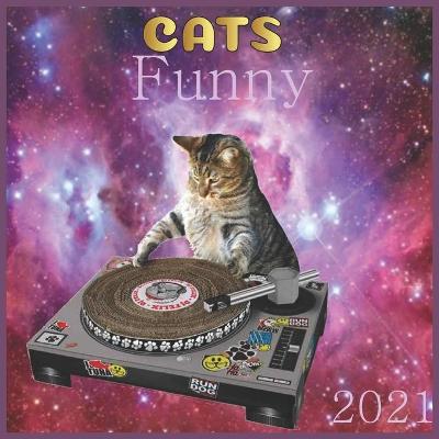 Book cover for Funny cats