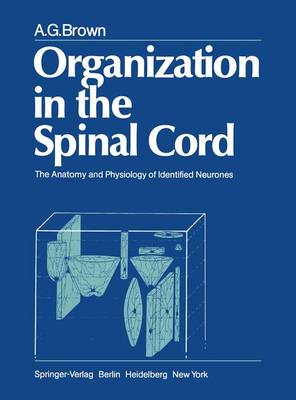 Book cover for Organisation in the Spinal Cord