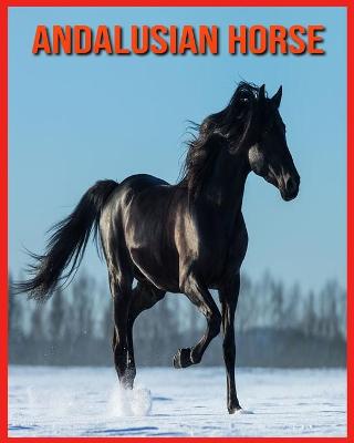 Book cover for Andalusian Horse