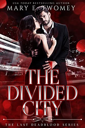 Cover of The Divided City