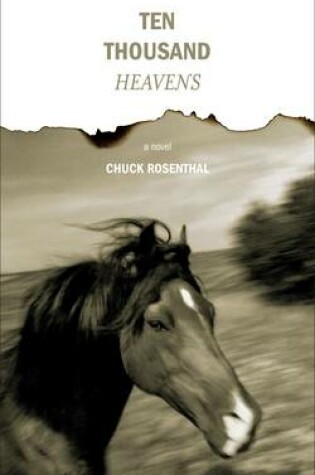 Cover of Ten Thousand Heavens