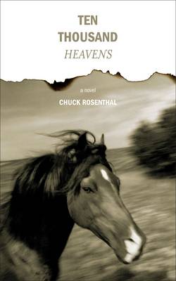 Book cover for Ten Thousand Heavens