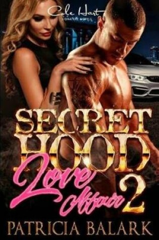 Cover of A Secret Hood Love Affair 2