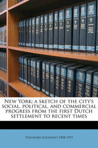 Cover of New York; A Sketch of the City's Social, Political, and Commercial Progress from the First Dutch Settlement to Recent Times Volume 1