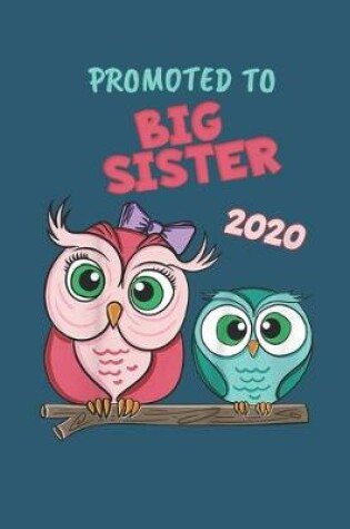 Cover of Promoted to big sister 2020