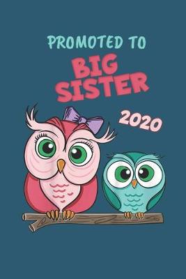 Cover of Promoted to big sister 2020