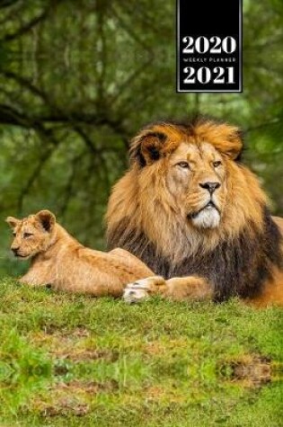 Cover of Lion Week Planner Weekly Organizer Calendar 2020 / 2021 - Father and Son