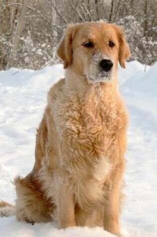 Cover of Golden Retriever in the Snow Dog Journal