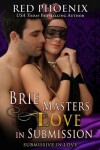 Book cover for Brie Masters Love in Submission