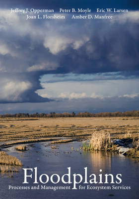 Book cover for Floodplains