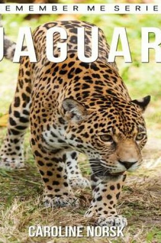 Cover of Jaguar