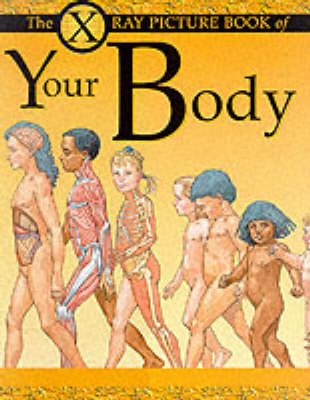Book cover for X Ray Picture Book of Your Body