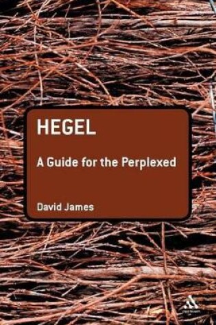 Cover of Hegel: A Guide for the Perplexed