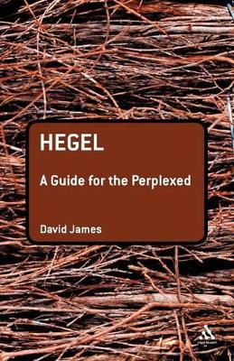 Cover of Hegel: A Guide for the Perplexed