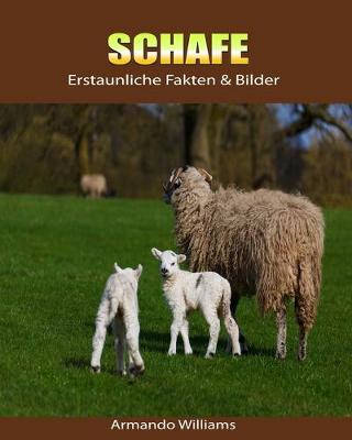 Cover of Schafe