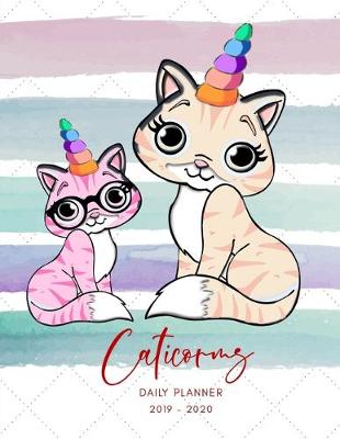 Book cover for 2019 2020 15 Months Kitten Caticorns Unicorn Daily Planner