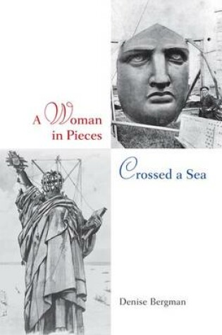 Cover of A Woman in Pieces Crossed a Sea