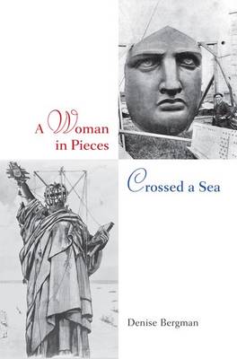 Book cover for A Woman in Pieces Crossed a Sea