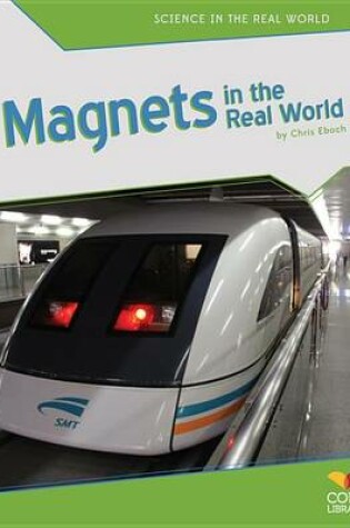 Cover of Magnets in the Real World
