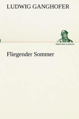 Cover of Fliegender Sommer