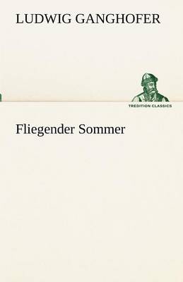 Book cover for Fliegender Sommer