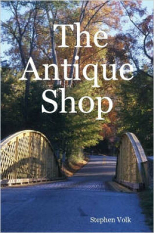 Cover of The Antique Shop