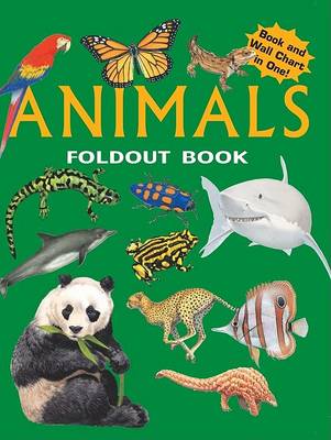 Book cover for Fold Out Animals (CL)