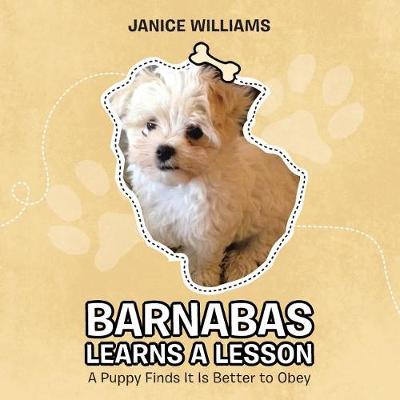 Book cover for Barnabas Learns a Lesson